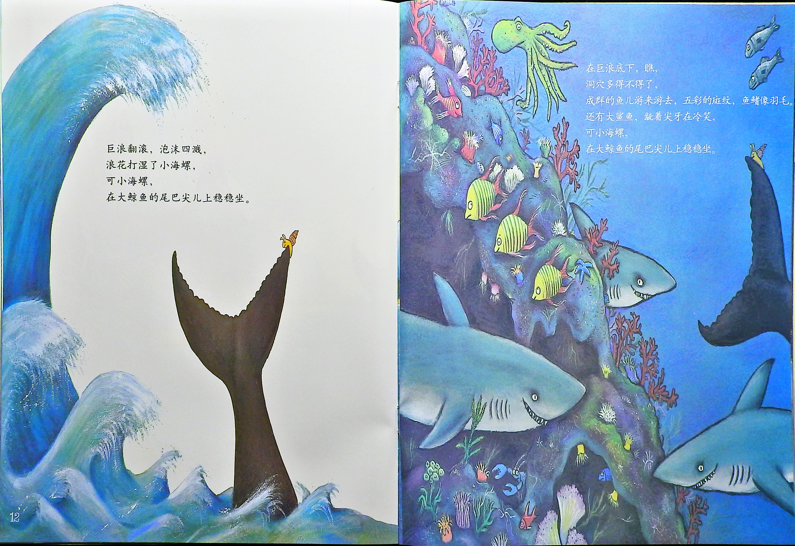 小海螺和大鲸鱼 (09),绘本,绘本故事,绘本阅读,故事书,童书,图画书,课外阅读
